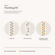 An infographic shows three circles: Healthy Hair, Dry, Frizz-Prone Hair, and Replenished Hair after using No Frizz Vanishing Oil for shiny hair and lasting humidity protection.